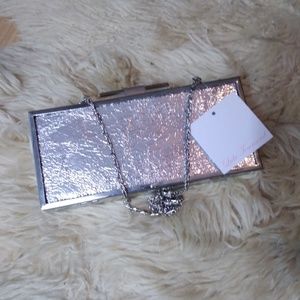 Lulu Townsend glass box silver clutch